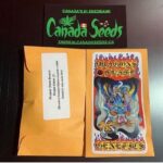 122693593_658381008203799_7576710462651721180_n