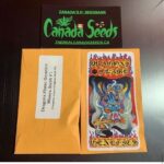 122868542_978553549322248_8721145338892995084_n