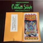 122887278_1407832046220337_3554166011205682753_n