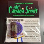 122896386_723487621844825_6193815420288143215_n