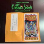 122903231_635234553825362_6557130019887828499_n (1)