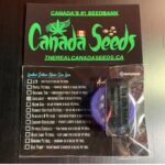 122906291_698220187764335_1910746602430213885_n