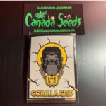 122907607_375768210447725_3470415406593808480_n