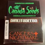 122918542_357728238880840_9177027775611570651_n