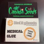 122924232_351970906029677_6046837842062194777_n