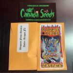 122926841_352519879412231_6289643652906052631_n