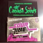 122937833_722116265329168_9197910369200715073_n