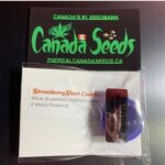 122946703_847968555742965_2228952484346261753_n