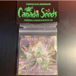 123061194_878492639598090_1409382038250255047_n