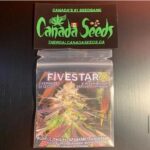 123127167_651078505771097_3858626366464431735_n