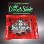 123253454_267938241327501_5408139898373521622_n