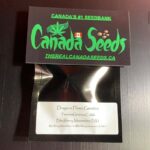 123268784_386808609030816_3976829344452374143_n (1)