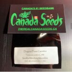 123328607_3255378821251139_1072638517079047355_n