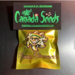 123351771_2704094709906640_8557322231270022345_n