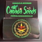 Glazed lemon cookies