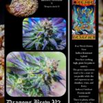 New-Dragons-Brew-Promo