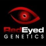 RED EYe logo