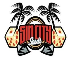 Sin City Regular Seeds