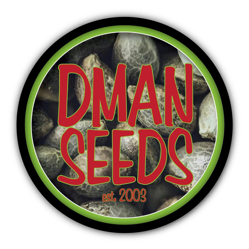 Dman Seeds