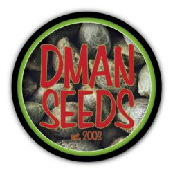 Dman Regular Seeds