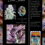 love-stash-promo-sheet