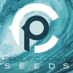 Prolific Coast Seeds Regular Seeds