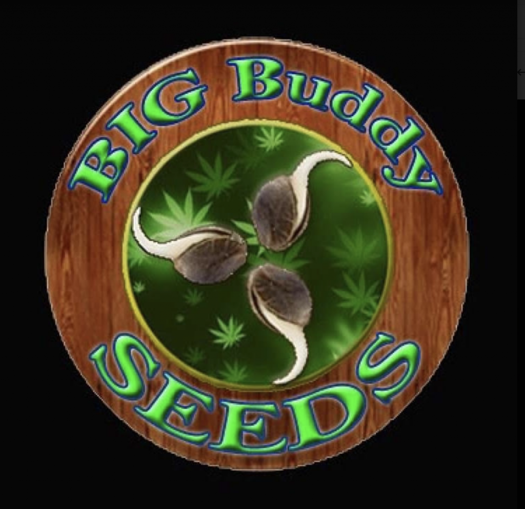 Big Buddy Seeds