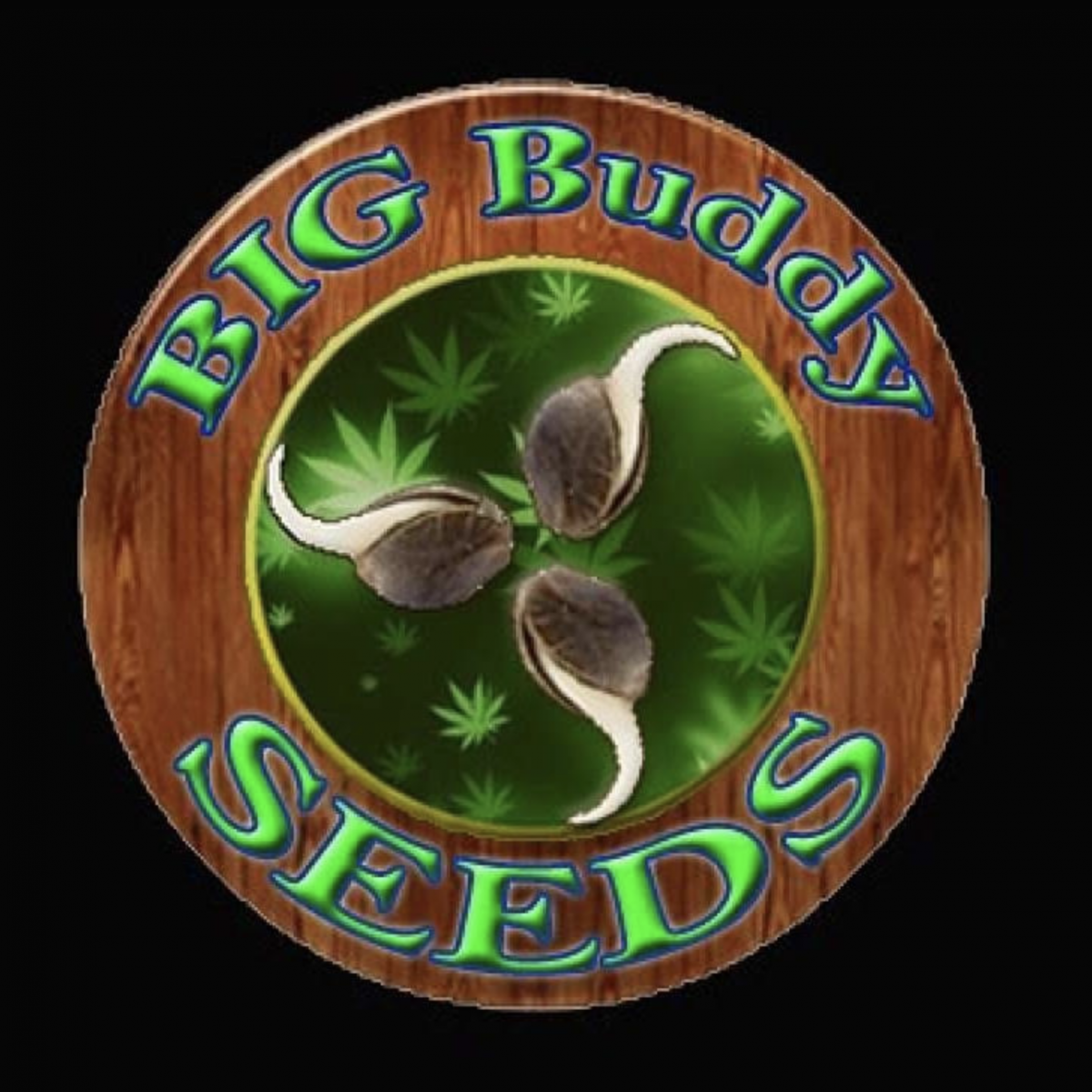 Big Buddy Seeds