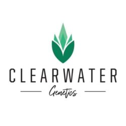 Clearwater Genetics Feminized