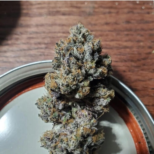 Apple Ecstasy - Red Eye Genetics 2